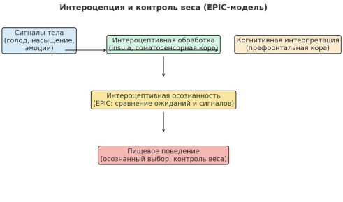 ������������: ������ �������� ����