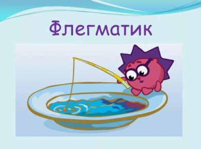 Кто такой флегматик?