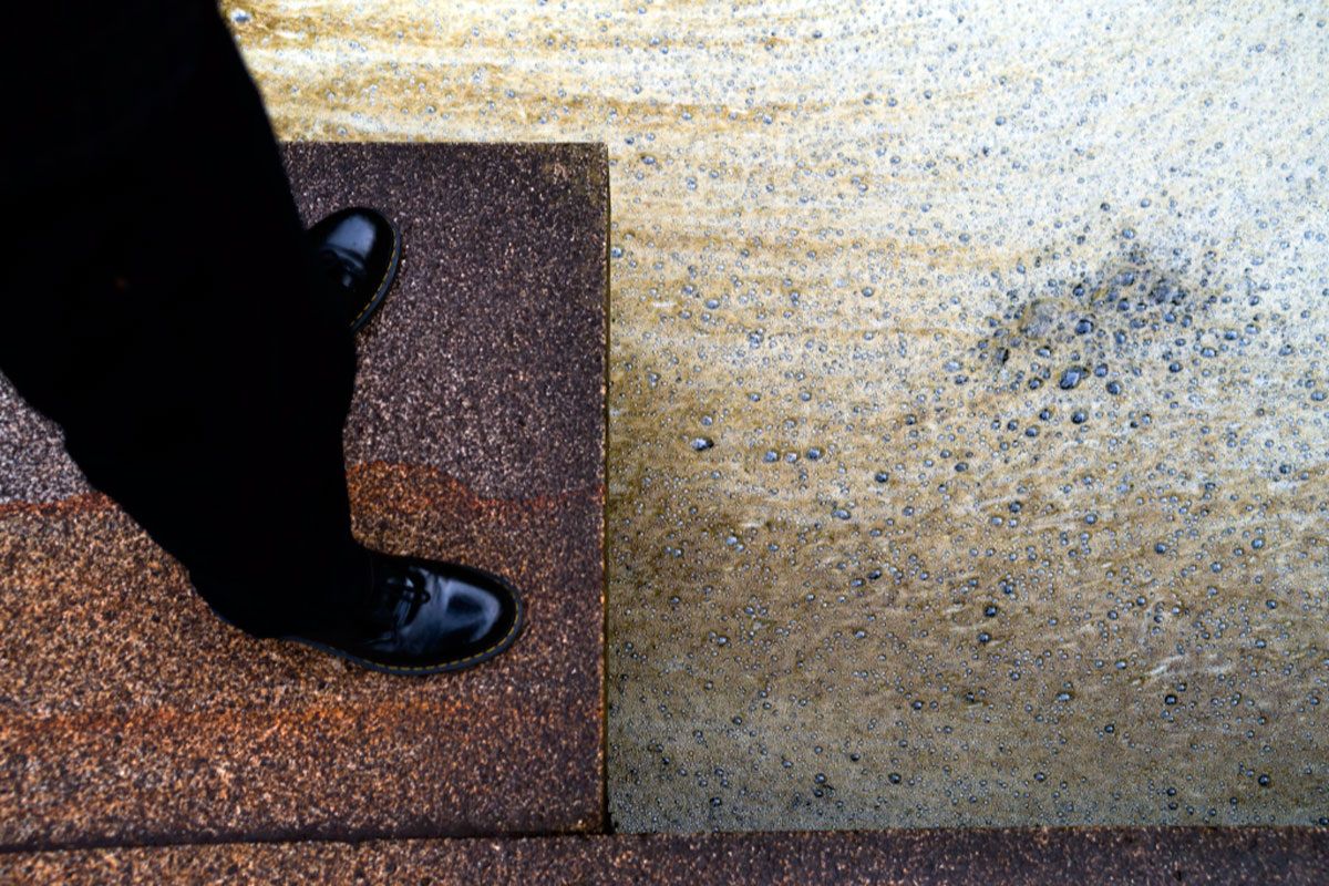 Эволюция сознания: от бактерий до самосознания человека