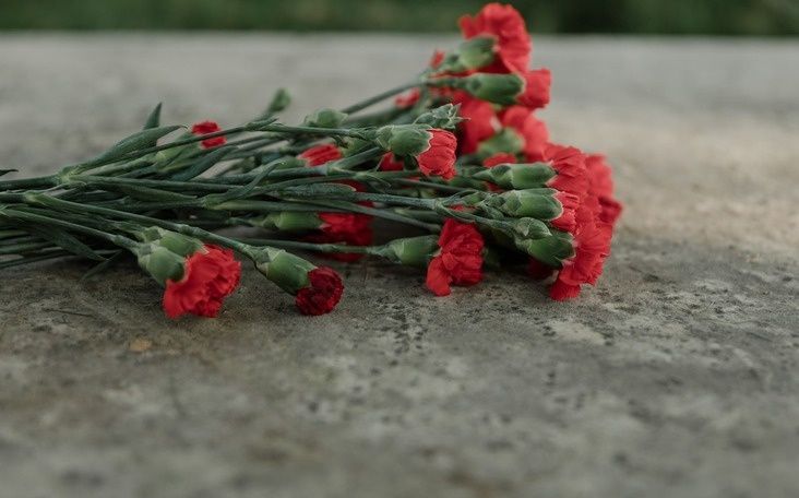 Стихи в память о фронтовиках: наследие героев