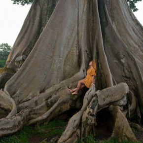 ���������� ������ ����: 14 ����, ������ �����������