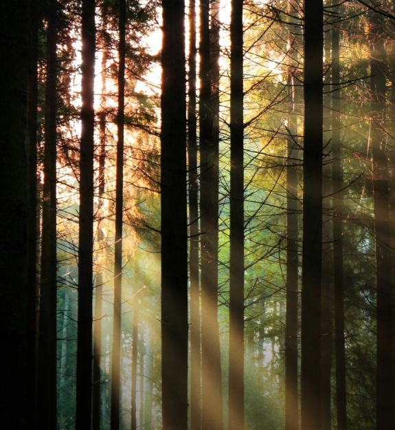 ��� �� ����� ����� ����� ����� ��������� � �������