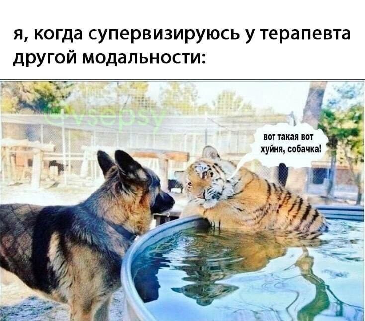 ����������� ����������: ����� ������� ��� ������������ �������������?