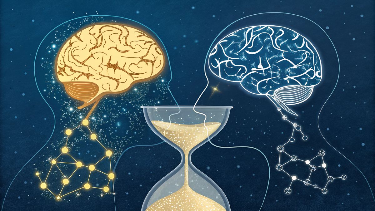 ������� �����������: ������ �������� ������ ������ ������ ����