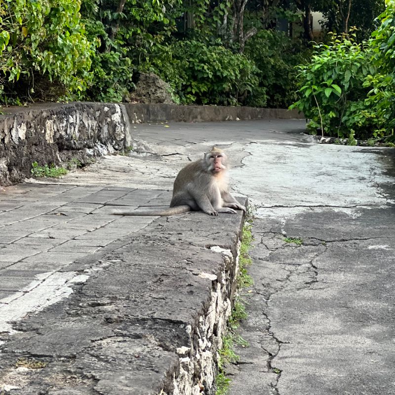 ����: ������ ����� ��� ���������? ��� ����� ����� ������ ��� �����������