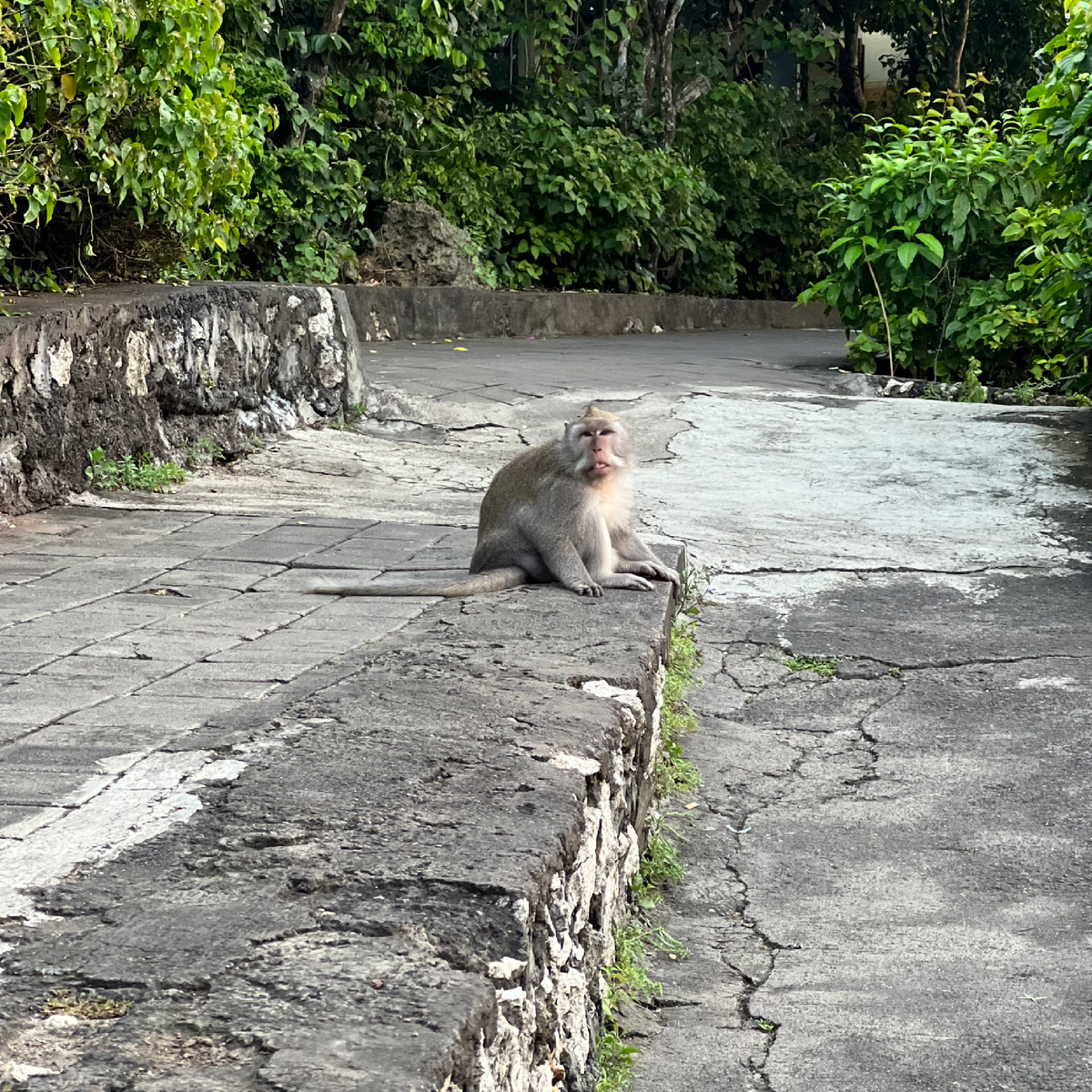 Бали: Остров мечты или испытание? Что стоит знать прежде чем отправиться