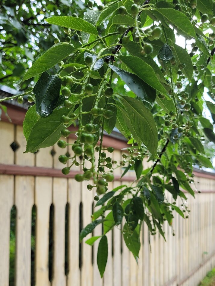 Как сравнительный анализ разрушает нашу самооценку