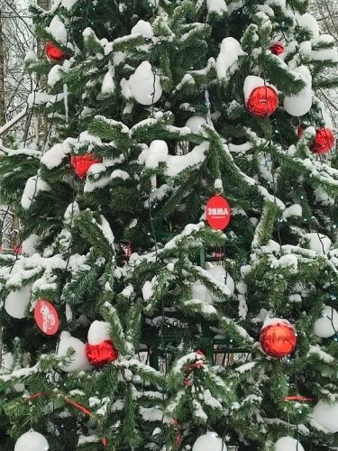 ��� �������� ���������� �������� � ������� � �������������