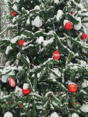 Как провести новогодние каникулы с пользой и удовольствием