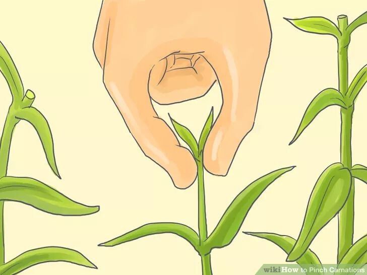 ����� ������� ���������� ���������������: ����� �� ���������������