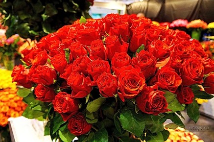 ������ ������� � ����������� ������