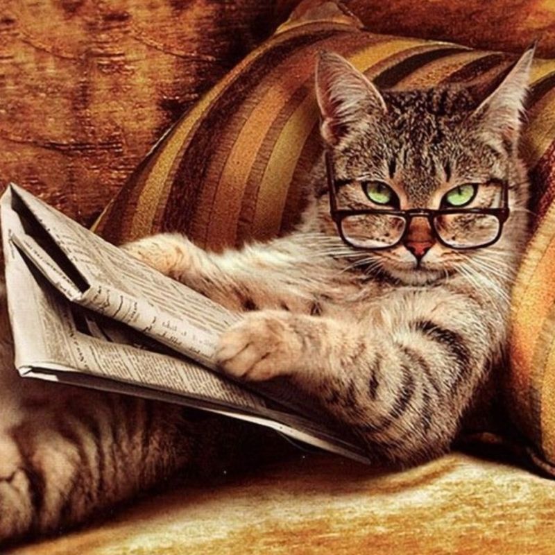 Как наши внутренние конфликты определяют реакцию на неожиданности