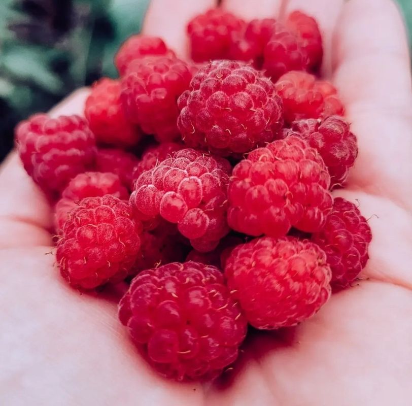 Терапия и внутренние дефициты: как перестать искать внешние решения