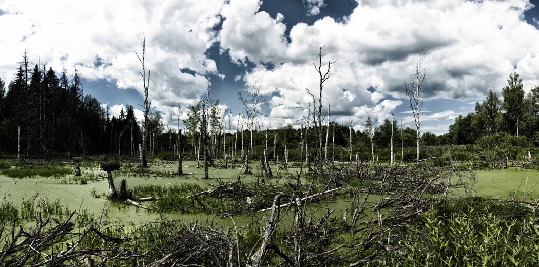 Путь к самопринятию: как справиться с депрессией и выйти из тени неуверенности