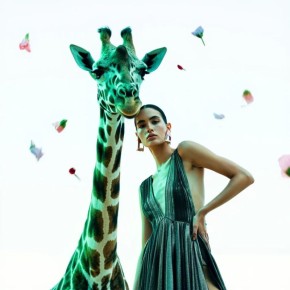 Как приручить тревогу и жить свободно