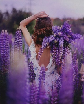 ����������� ���������� �� ����������: ��� ���������� ����� ������� � ������� �����������