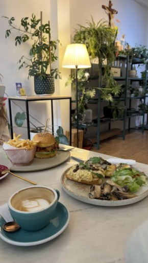 ���������� ����������� �� ����: ������ ���� � ��������� ���� � ���������