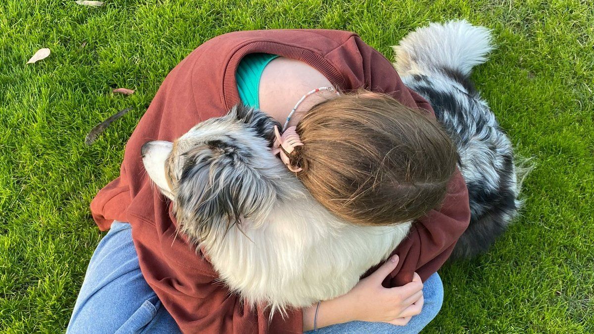 ��� ������� �������� �������� ���� ��������������� ���������