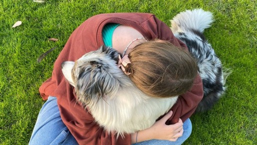 ��� ������� �������� �������� ���� ��������������� ���������