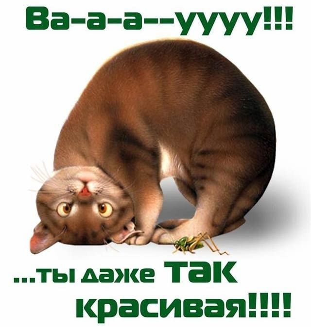 �����������: ����� ��������� �������