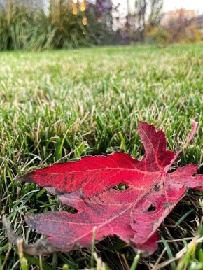 ��� �������� ������� � ������������: ������� ������