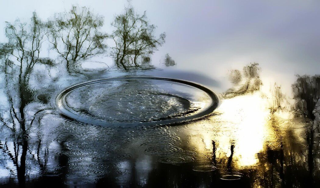 ��� ����� �� ���� ��������� ���� ��������