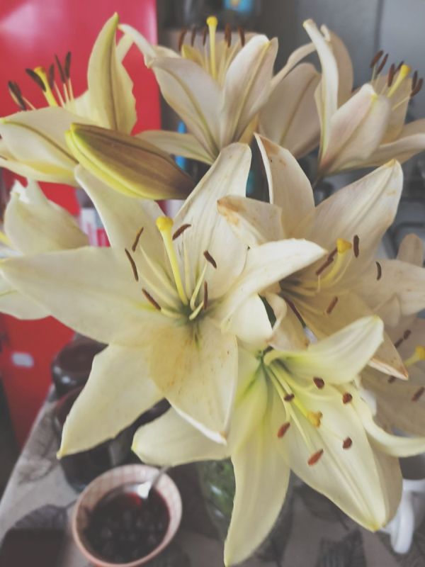 ��� ���������� �������� ���������: ����������� � �������