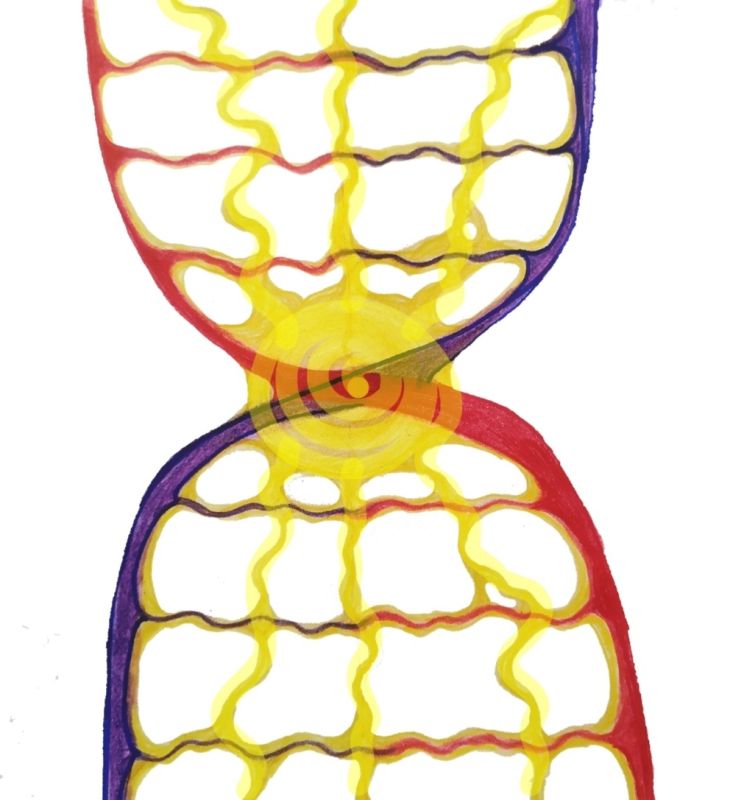 ������� ��������������: ��� ������ ������ �� ��������