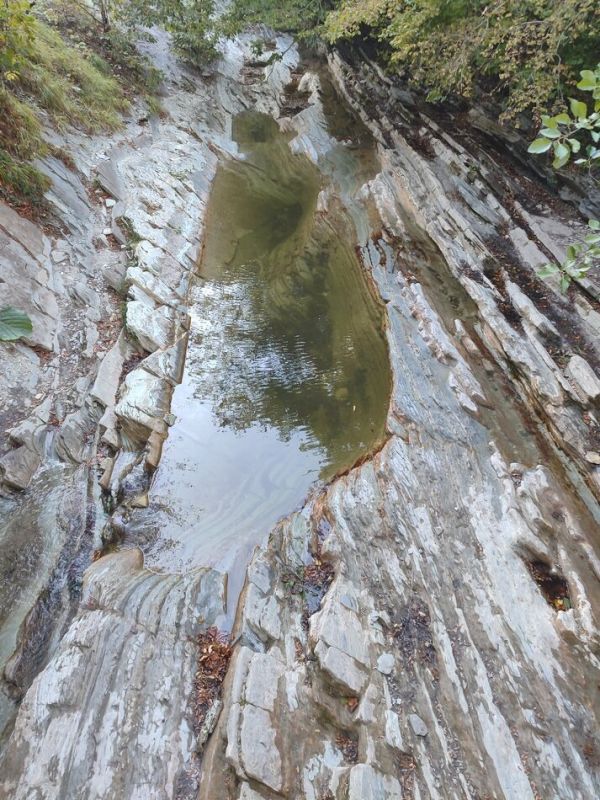 �������� � � �����: ��� ������ � ����� �������� ������������ ���� � ����