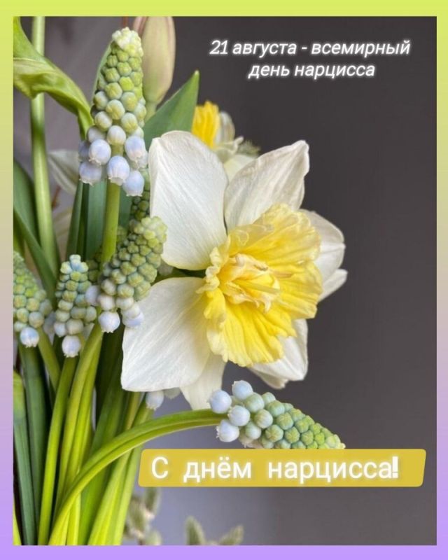 ����������: ����� ������� ������� � ������������ ��������