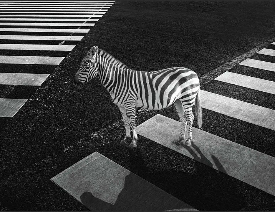 ����������: ����������� � ������ ������������ ��������