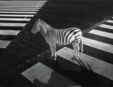 Ипохондрия: Путешествие в Страну Воображаемых Болезней