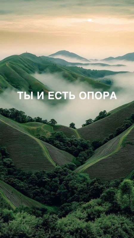 ������ ���������������� � ����������� �����