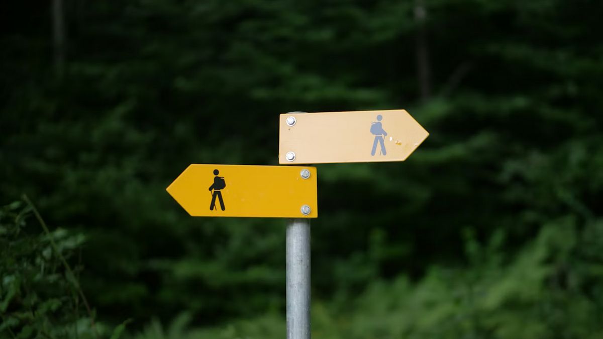 ��� ������ ������������� ��������� ��� �����