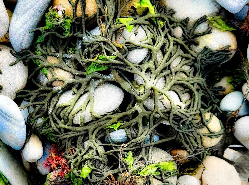 ���� � ����: ����������� ����������� � ��������