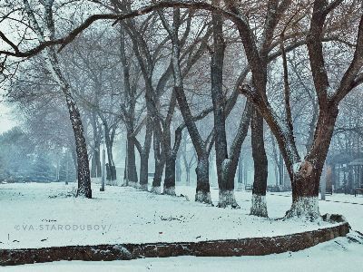 ��� ��������� ����� ������� � ������ ������