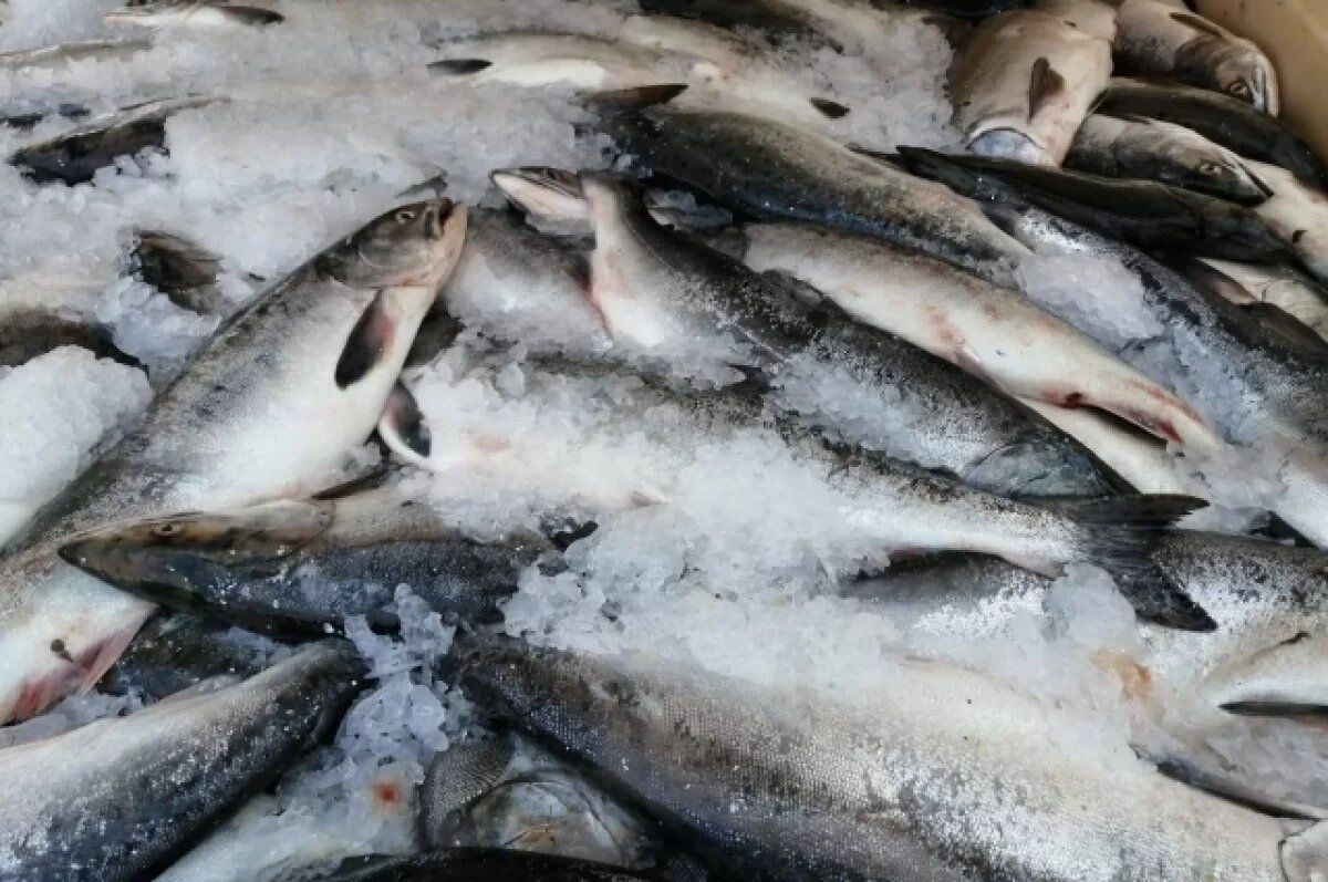 ��� �������� ���������: ������ �� ���������������� ��� �����������