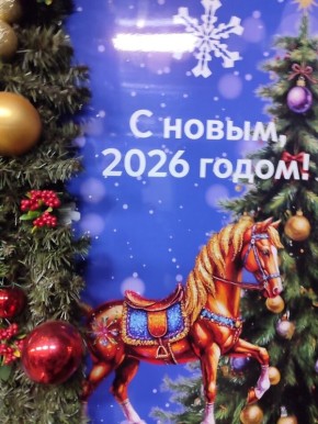 ������ ����� ���: ��������, ������� ���������� � ����� �����������