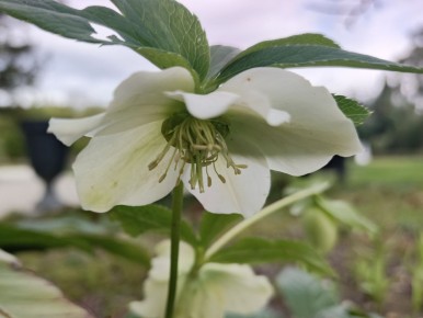 ����� � �������: ��� ��������� ������� ������� ������ ����