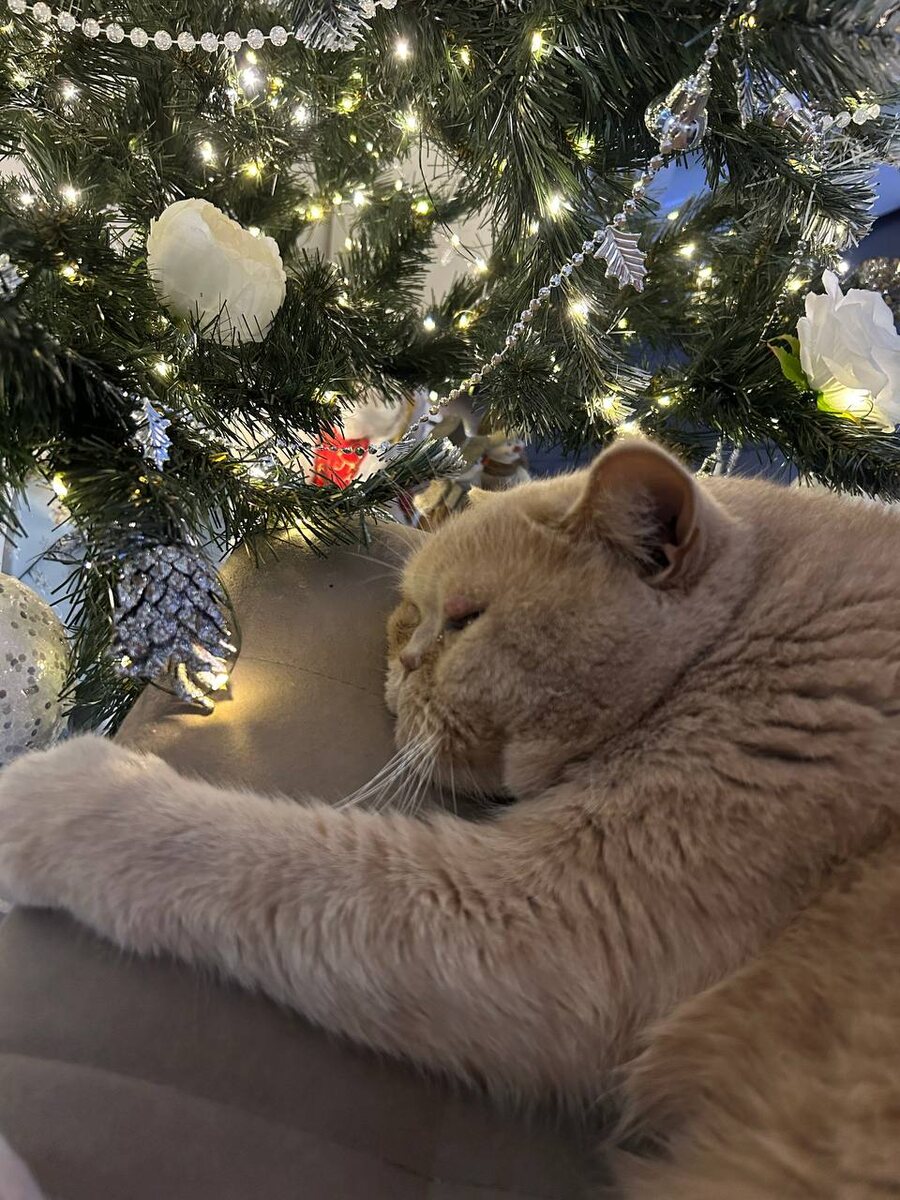 История успеха: Как IT-специалист вышел из френдзоны