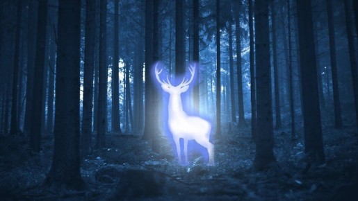 Психология как магия: открывая чудеса парадоксальной терапии