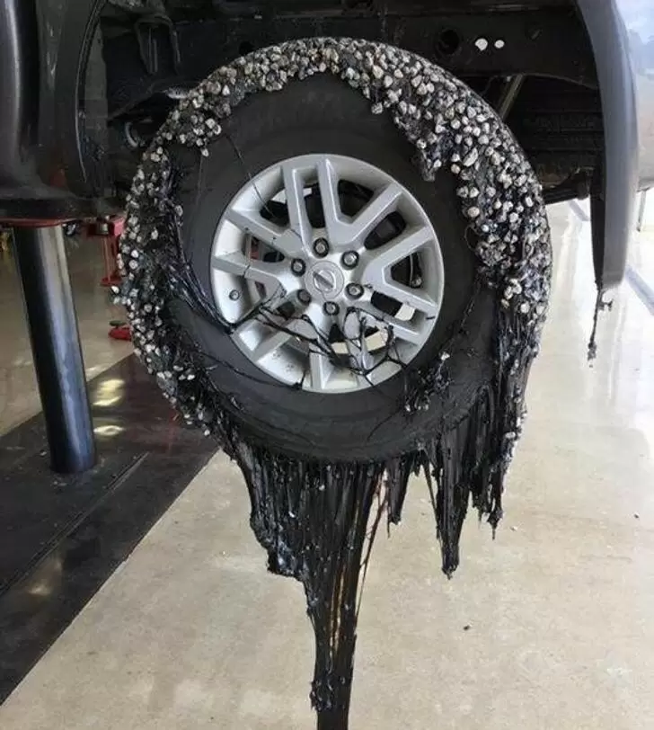 Когда будни превращаются в приключения: 15 непростых ситуаций