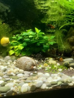 ������� ������ � �����