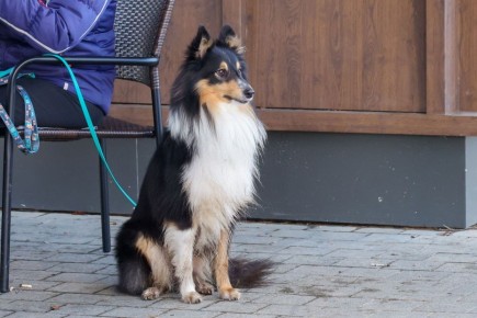 ��� �������� ��������� � ������: ��������������� �������� � �������