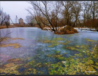 ��� ����� ������� � �������: ��������� ������� �����