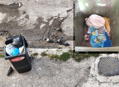 ������ ���������� �������� ������������ � �����?