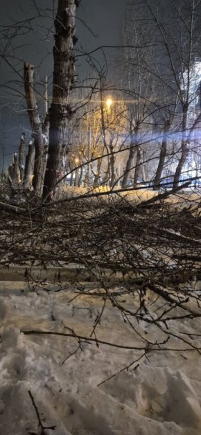 ���������: ��� ��� ������ �� ����� � ����� �� �������� � ������� ��������?