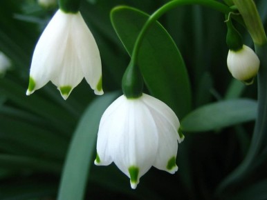 ��� ���������� ����� ������ �� ���� ��������?