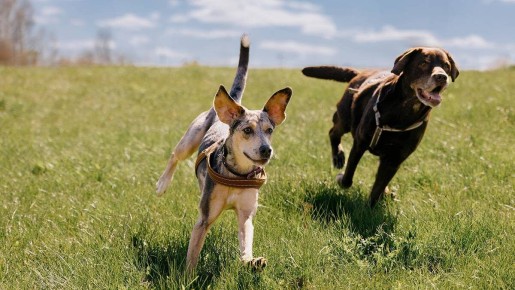 ��� �������� ������ �������� ���������� � ����������