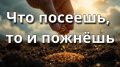 �������� �� �����: ��� ��������� ����� ��� ������ � ������